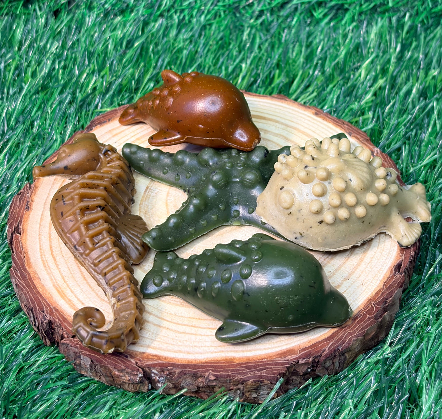 Ocean Veggie Chew