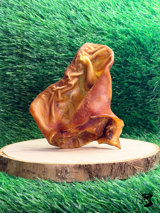 Pig Ear