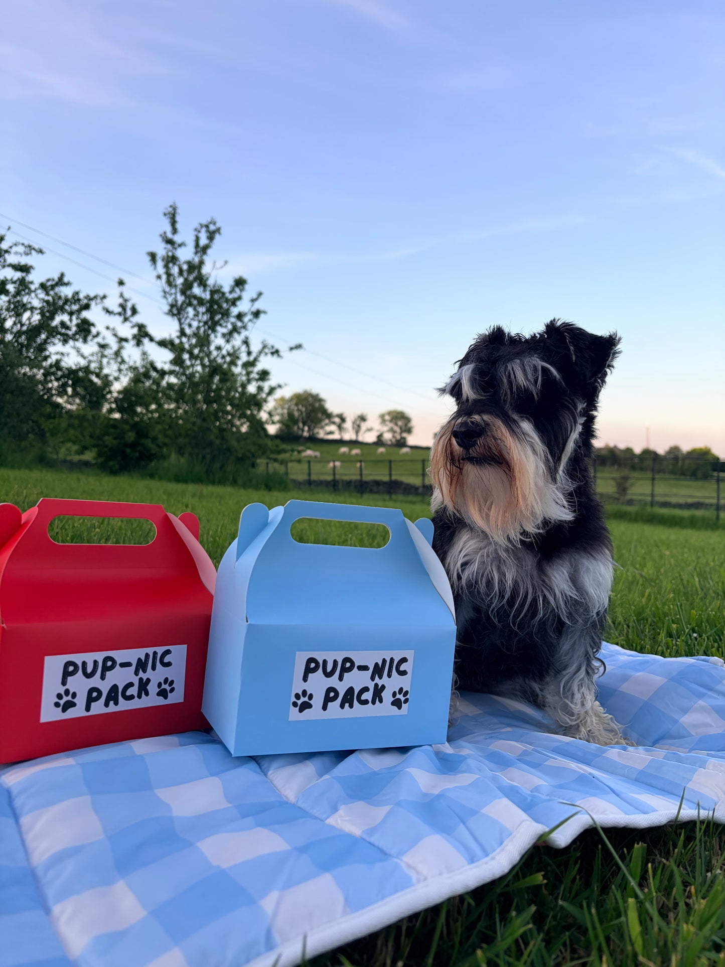 Pup-Nic Pack