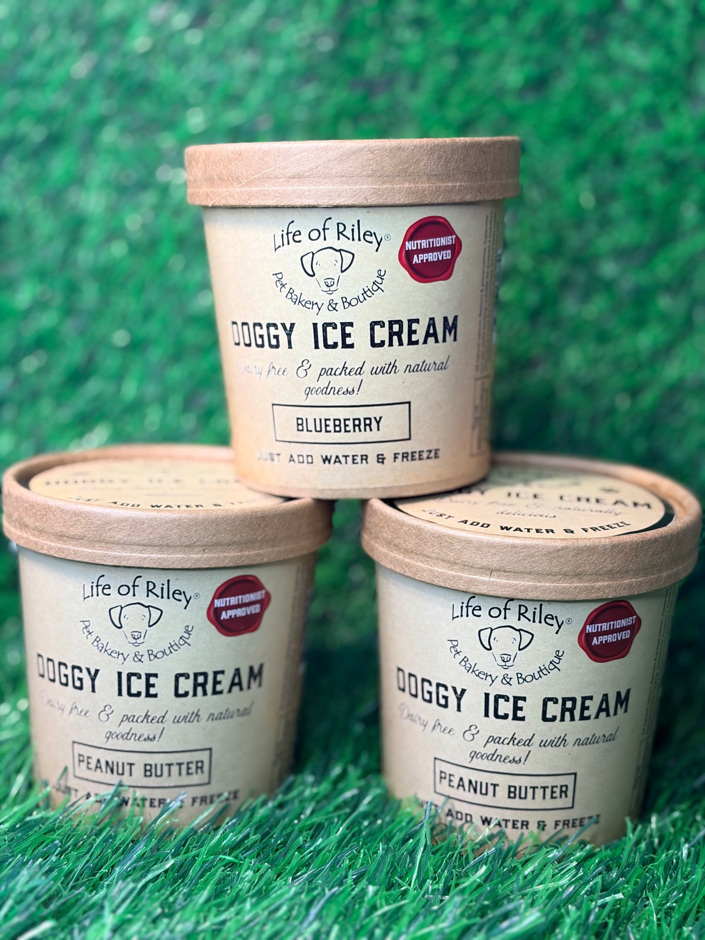 Doggy Ice Cream