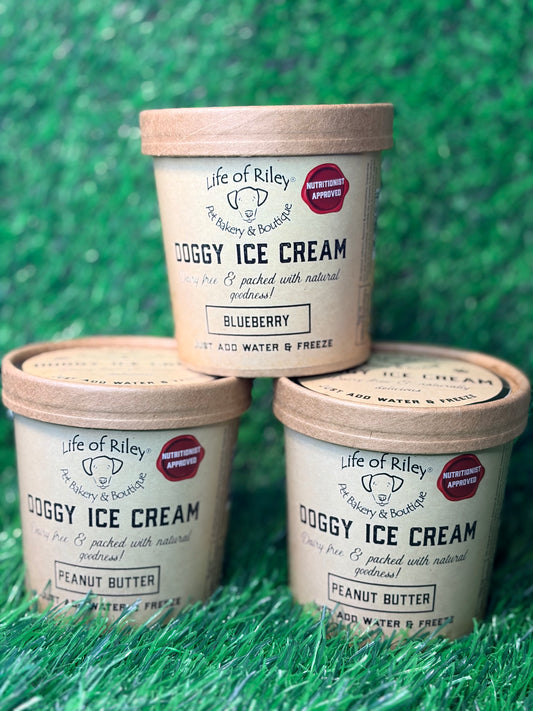 Doggy Ice Cream