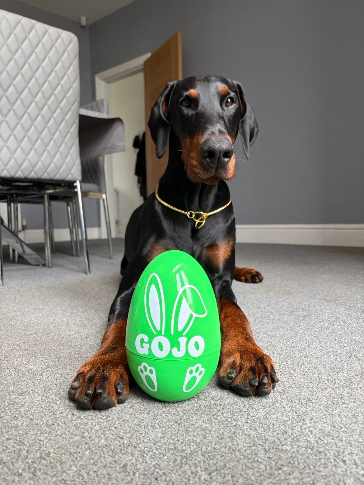 Giant Personalised Surprise Egg