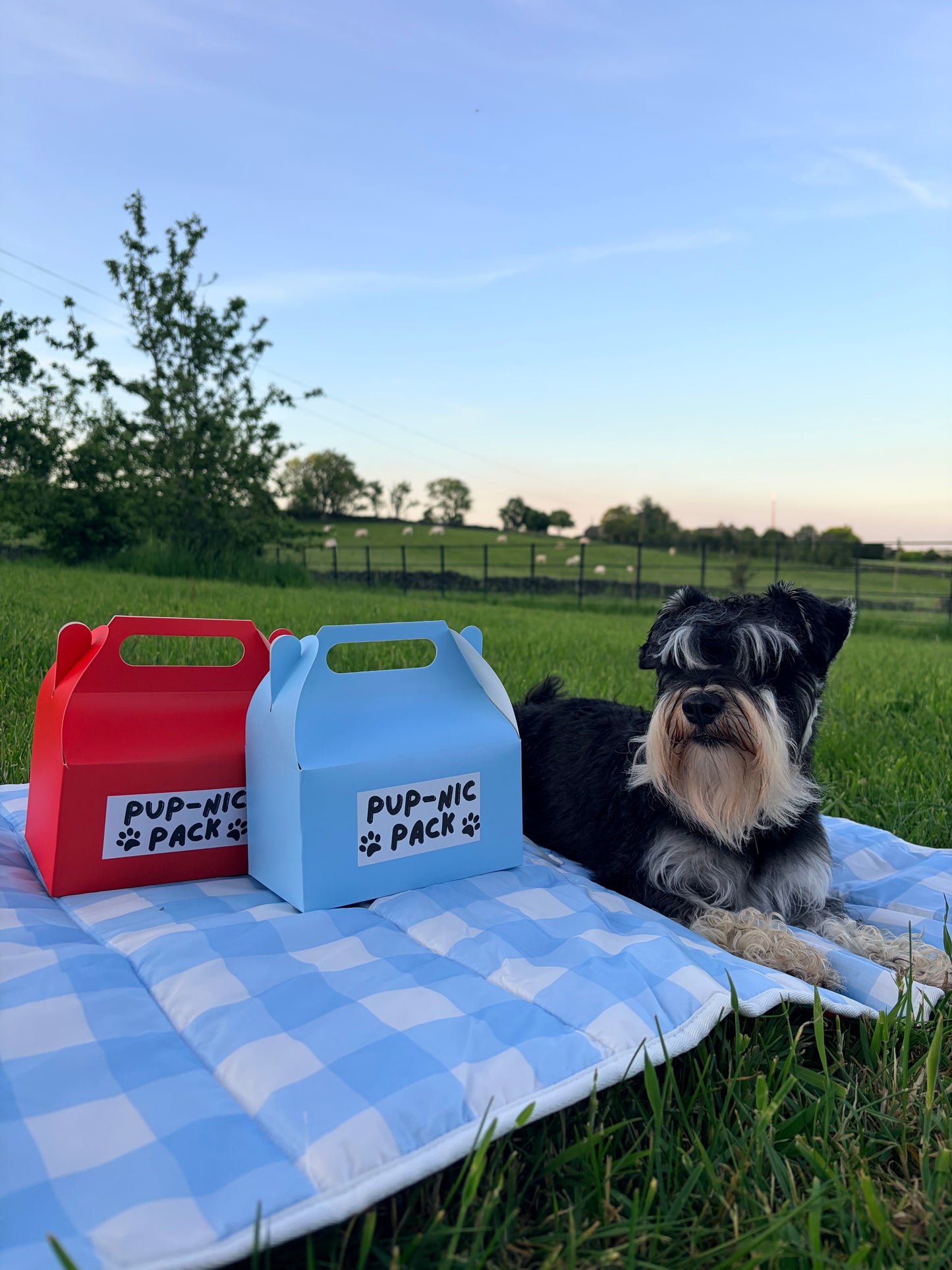 Pup-Nic Pack