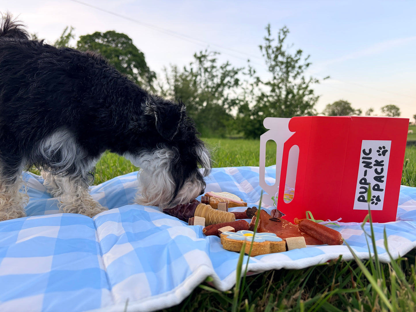 Pup-Nic Pack