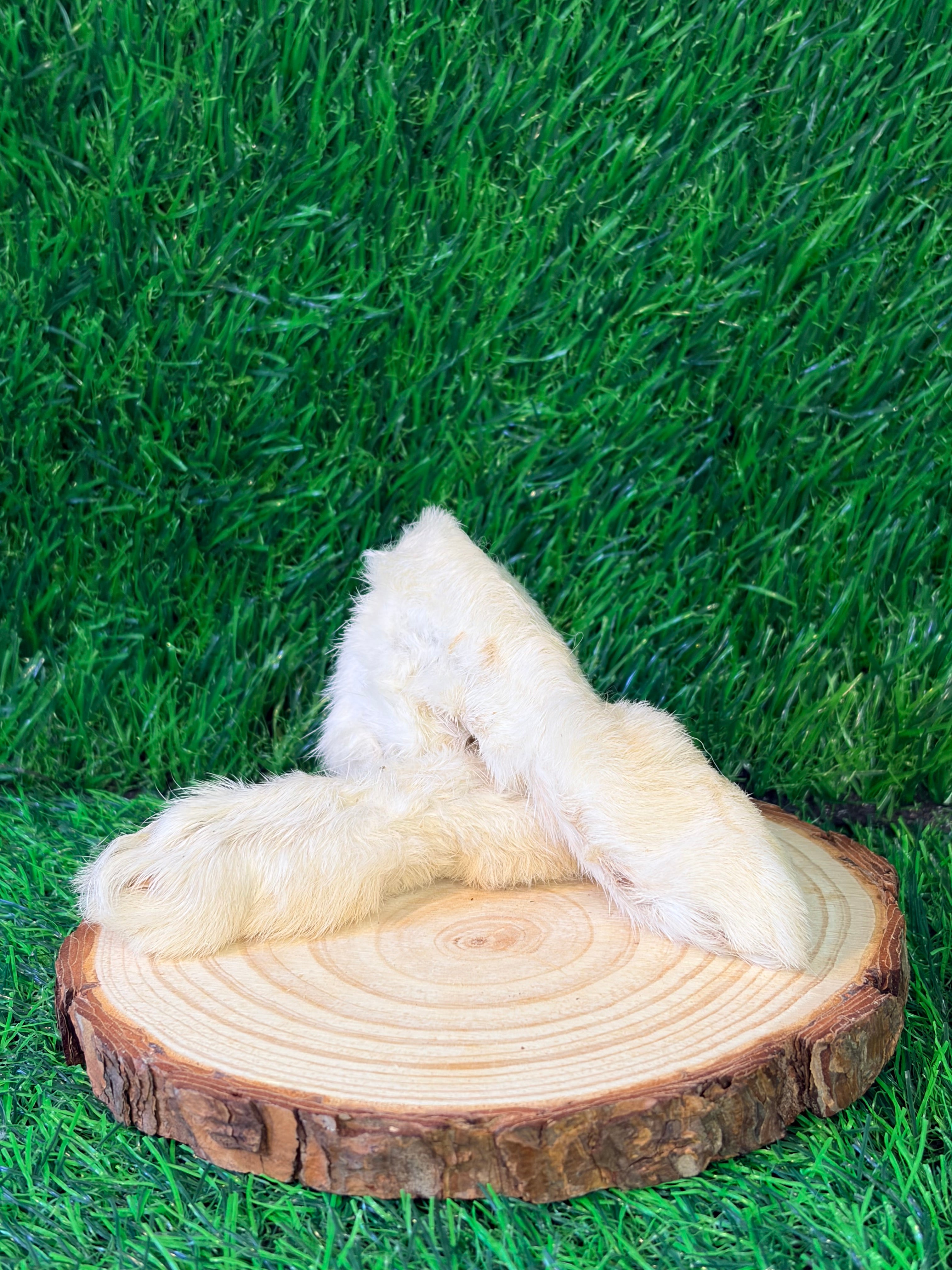 Fepro Rabbit Foot Rabbit Foot – Mad Paw It