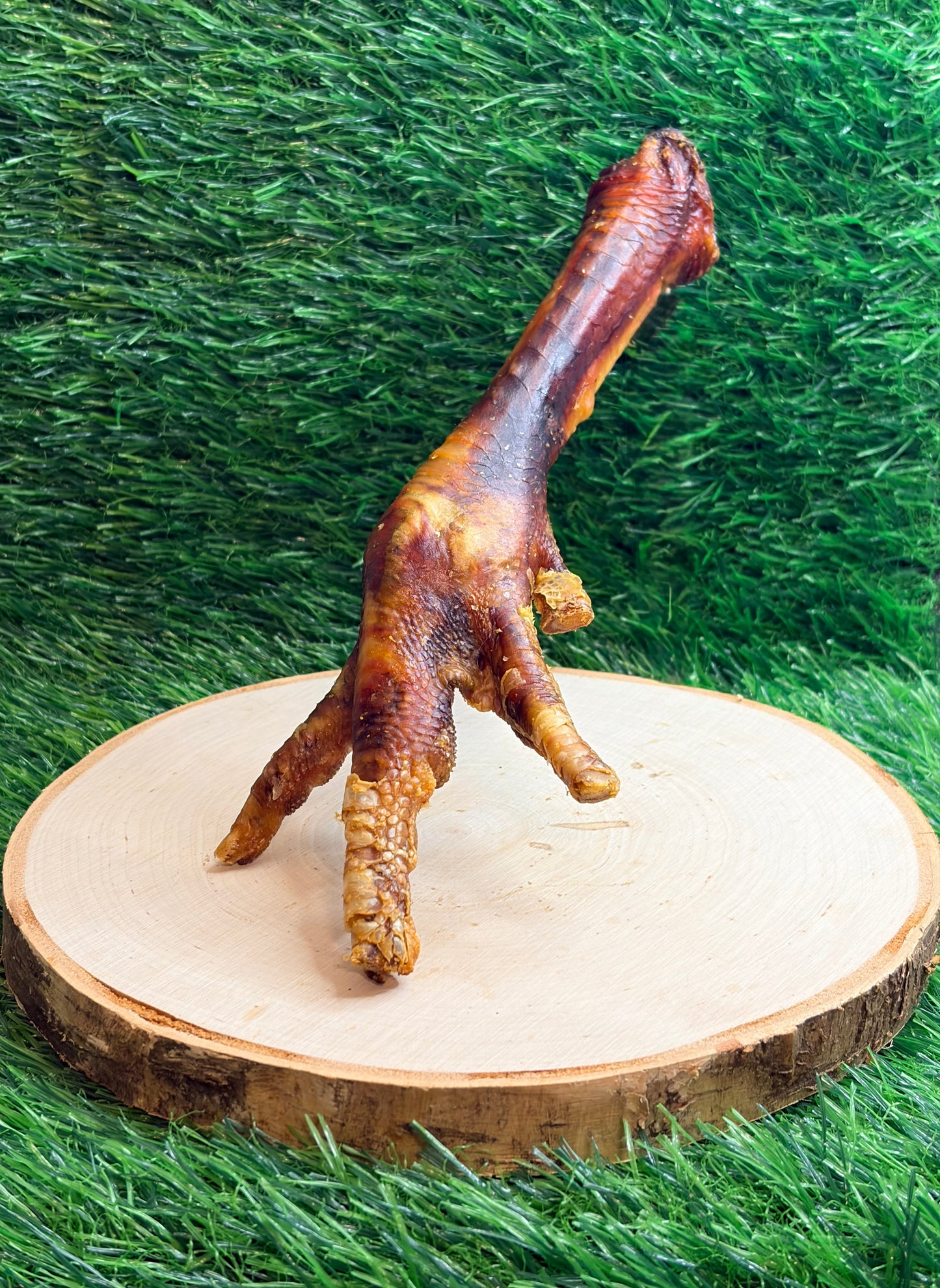 Turkey Leg