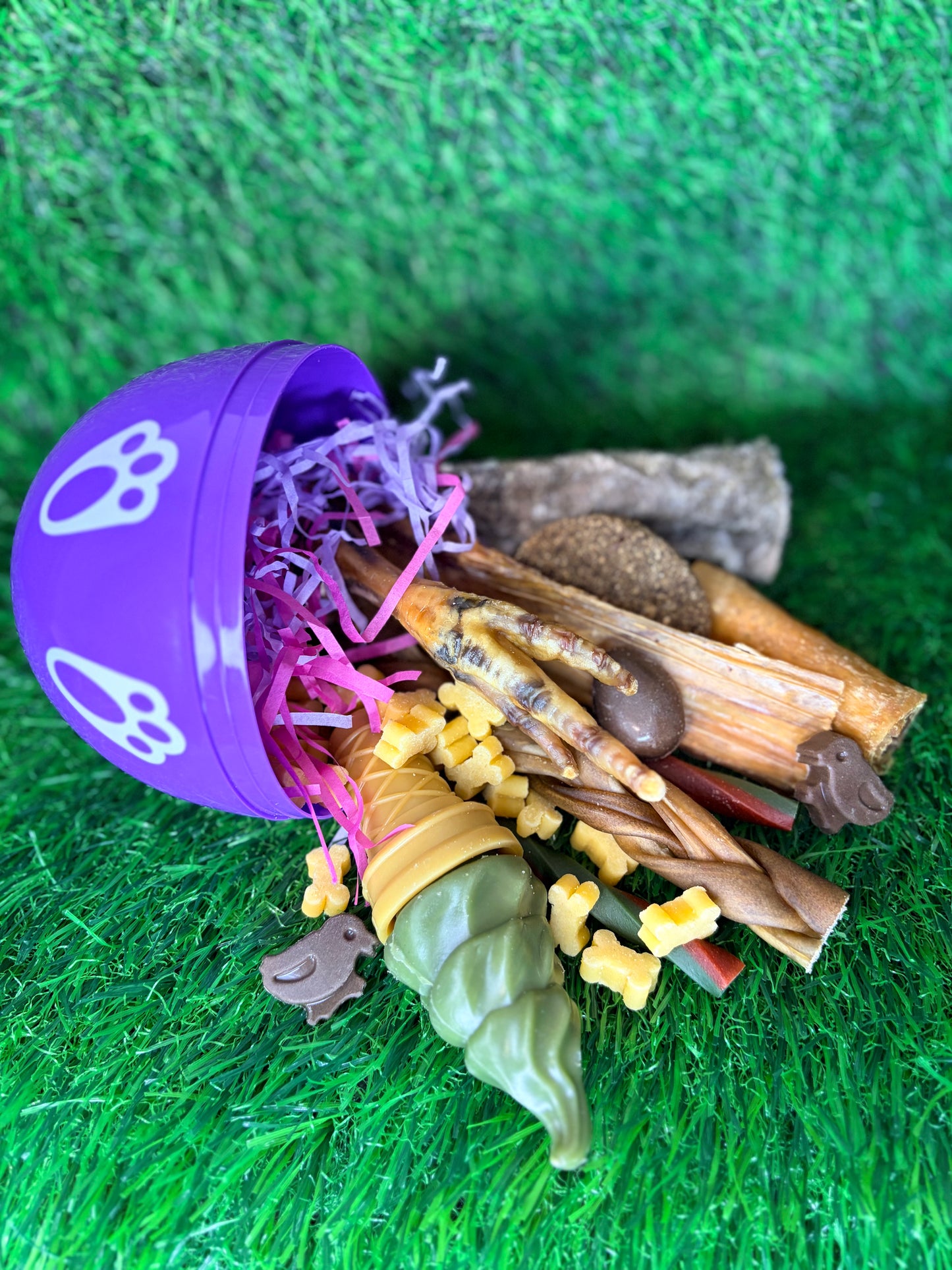 Giant Personalised Surprise Egg